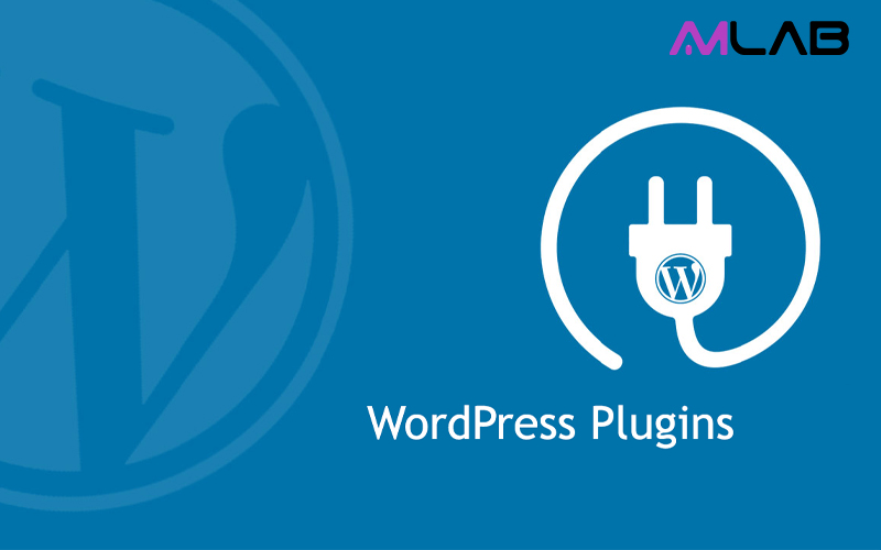 Plugin WordPress là gì