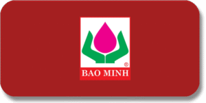 Baominh.vn - Amlab thiet ke web